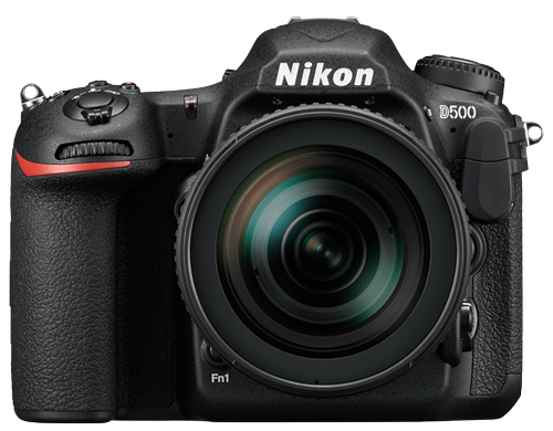 Nikon D500 ✭ Camspex.com